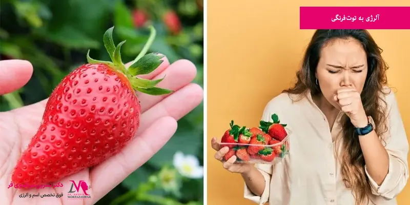 آلرژی به توت فرنگی