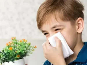 گیاهان آلرژی زا