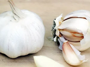 حساسیت به سیر
